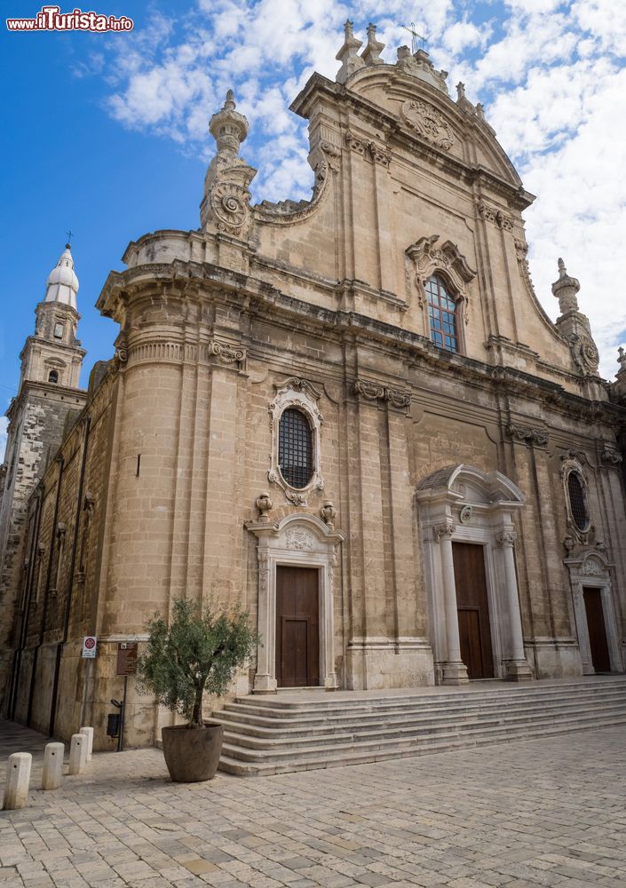 Immagine Maria Santissima della Madia, duomo di Monopoli, Puglia. La facciata, ricca di elementi barocchi, è divisa orizzontalmente in due parti: in quella inferiore ci sono i tre portali d'ingresso, in quella superiore si trova una grande finestra (al posto del rosone) e un frontone semicircolare.