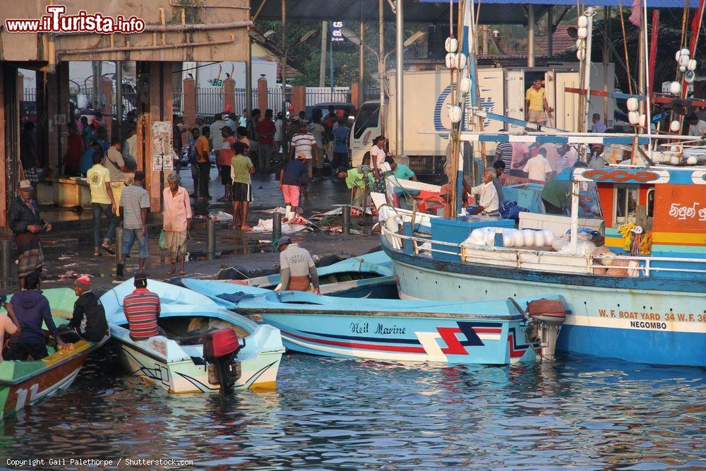 Immagine Le imbarcazioni arrivano all'animato mercato del pesce di Negombo (Sri Lanka) al mattino - © Gail Palethorpe / Shutterstock.com