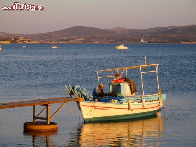 Immagine Milos: le Isole Cicladi, così come gli altri arcipelaghi della Grecia, vivono essenzialmente di turismo, di pesca e di pastorizia. Ad Adamas, il prinicplae porto di Milos, è possibile vedere i pescatori intenti nelle loro attività al rientro dalla giornata di lavoro.