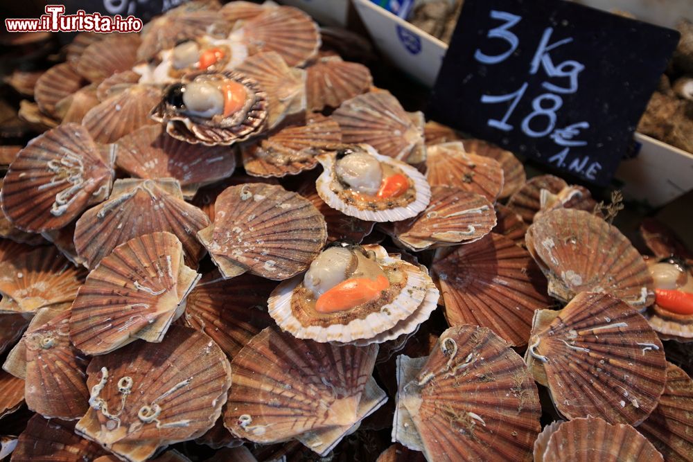 Immagine Molluschi presso il mercato del pesce di Trouville-sur-Mer, Francia.