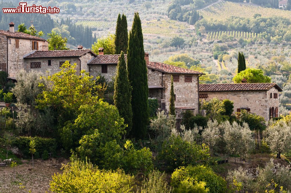 Immagine Montefioralle, provincia di Firenze: il borgo medievale. Sembra che il nome originale Monteficalle derivi dalle piante di fico che un tempo crescevano rigogliose attorno al castello.