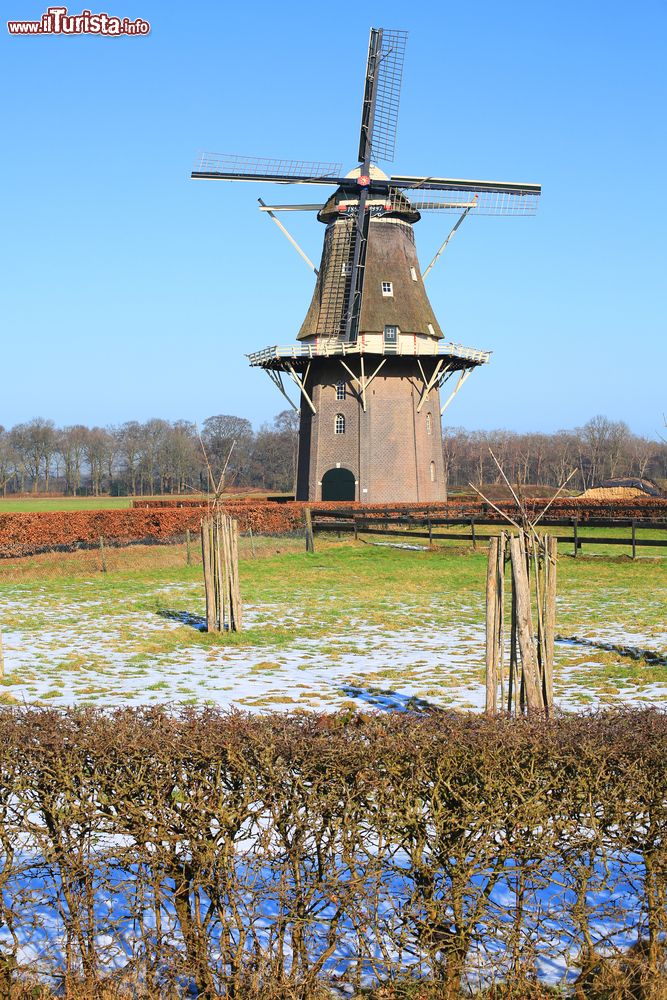 Immagine Mulino a vento a Vilstere, regione di Overijssel, Olanda.