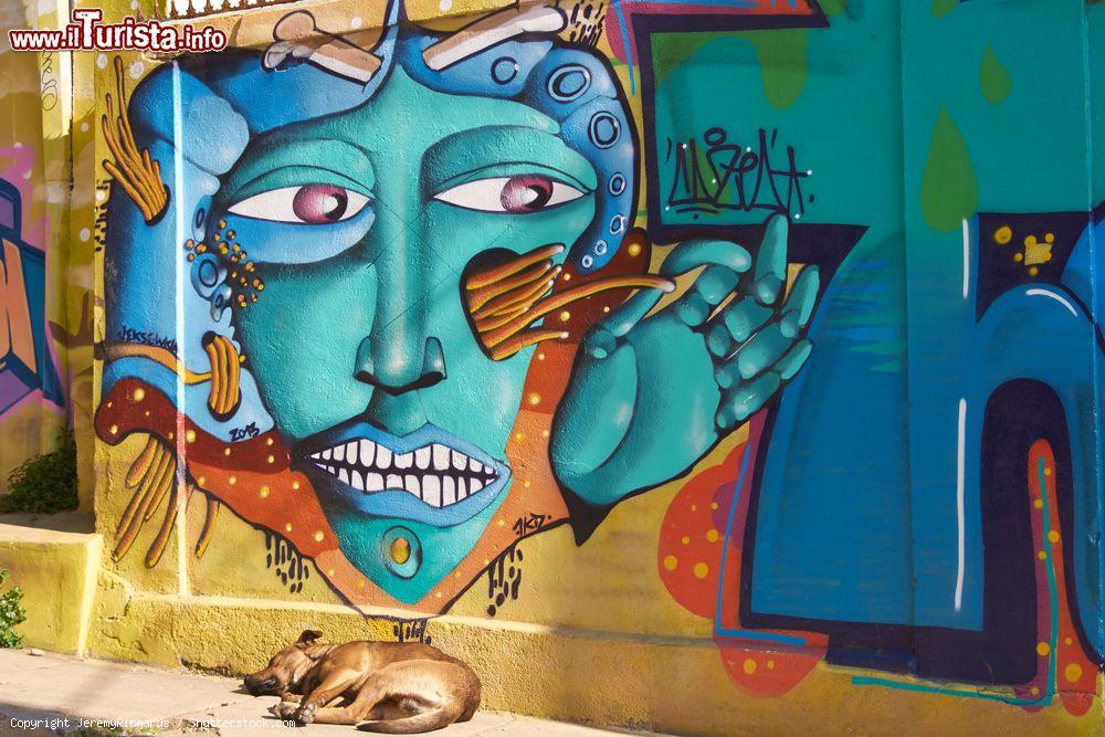 Immagine I murales sugli edifici e nelle strade di Valparaíso danno grande vivacità alla città cilena dichiarata Patrimonio dell'Umanità dall'UNESCO - foto © JeremyRichards / Shutterstock.com