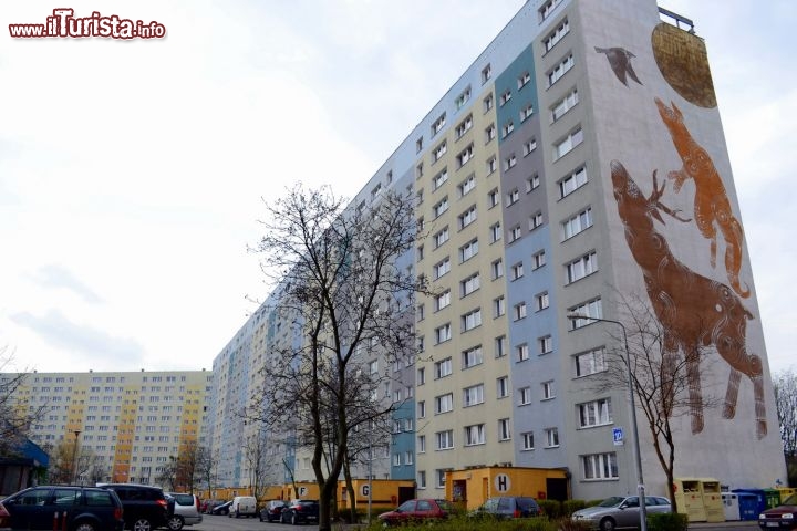 Immagine Murales nel quartiere di Zaspa: gli enormi palazzi socialisti degli anni Settanta di Danzica sono stati in parte riqualificati e riportati a nuova vita da un collettivo artistico e culturale, che ha coinvolto gli abitanti e sfruttato le pareti laterali degli edifici per disegnare enormi murales.