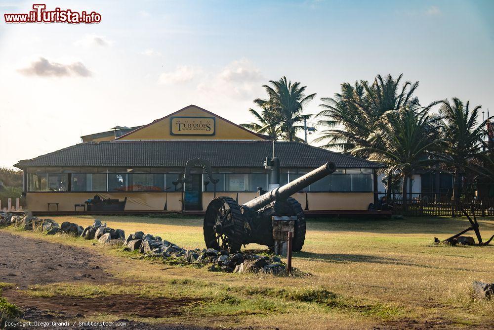 Immagine Museu dos Tubaroes a Fernando de Noronha, Brasile. Questo piccolo museo dedicato allo squalo espone, fra l'altro, mandibole di squalo bianco e tigre e la punta di un pesce sega - © Diego Grandi / Shutterstock.com