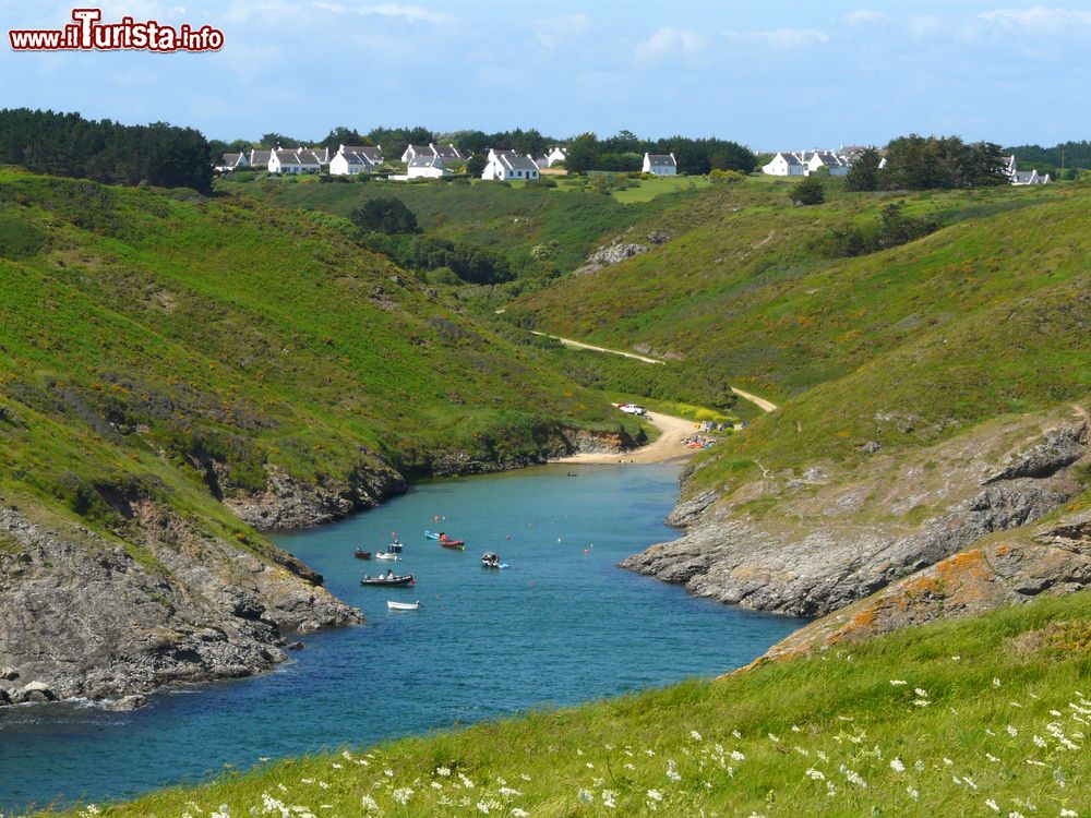 Immagine Natura incontaminata a Belle Ile en Mer, Francia. La costa dell'isola offre spiagge per tutti i gusti: da quelle con acque calme adatte a chi vuole fare una nuotata a quelle con dune di sabbia calcarea o rocce.