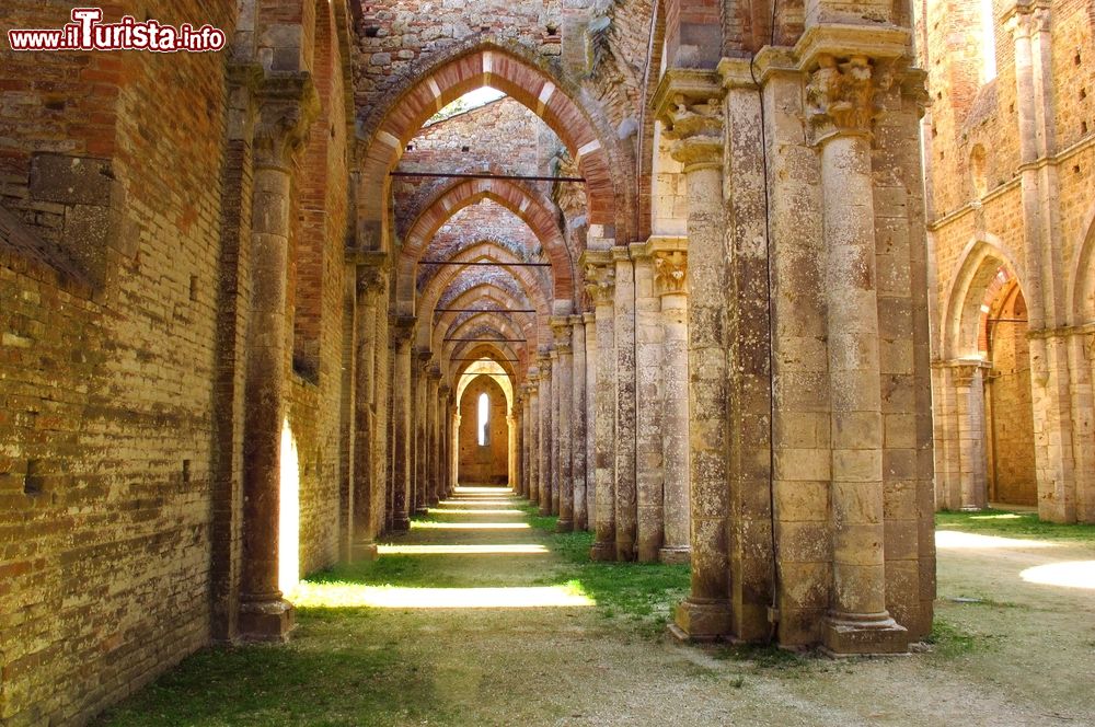 Immagine Navata laterale dell'Abbazzia di San Galgano a Chiusdino, in Toscana