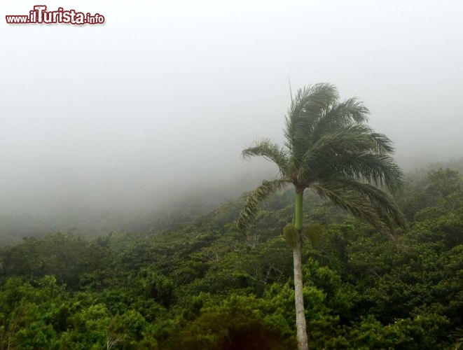 Immagine Nebbia verso Monte Isabel de Torres, fotografata dalla teleferica - 