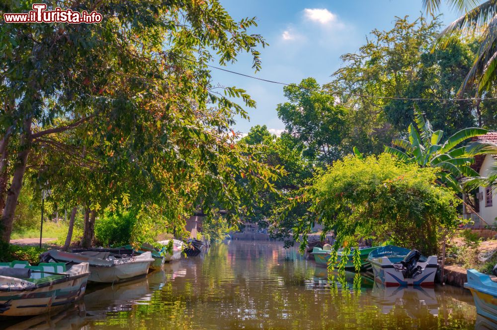 Immagine Negombo (Sri Lanka) è attraversata da una rete di canali e basa la propria economia sulla pesca e sul turismo.