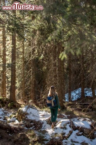 Immagine Passeggiata nel bosco nei pressi del Rifugio Carestiato - © Michela Garosi / TheTraveLover.com