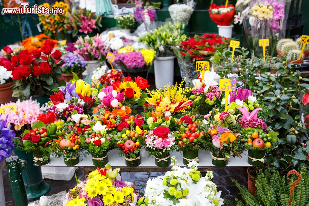 Immagine Offagna, Marche: la mostra mercato dei fiori