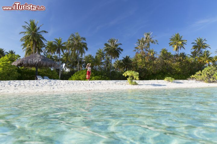 Immagine La spiaggia dell'Olhuveli Beach and Spa Resort, sull'Atollo di Malé Sud, isole Maldive - foto © Shutterstock.com