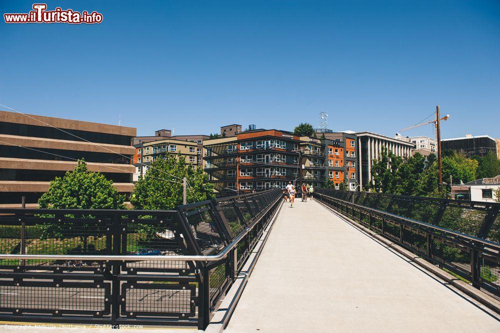 Immagine L'Olympic Sculpture Park di Seattle, Washington (USA). Situato all'estremità nord della diga di Seattle, questo parco è stato creato dalll'Art Museum ed è aperto al pubblico gratuitamente - © Nadezda Zavitaeva / Shutterstock.com