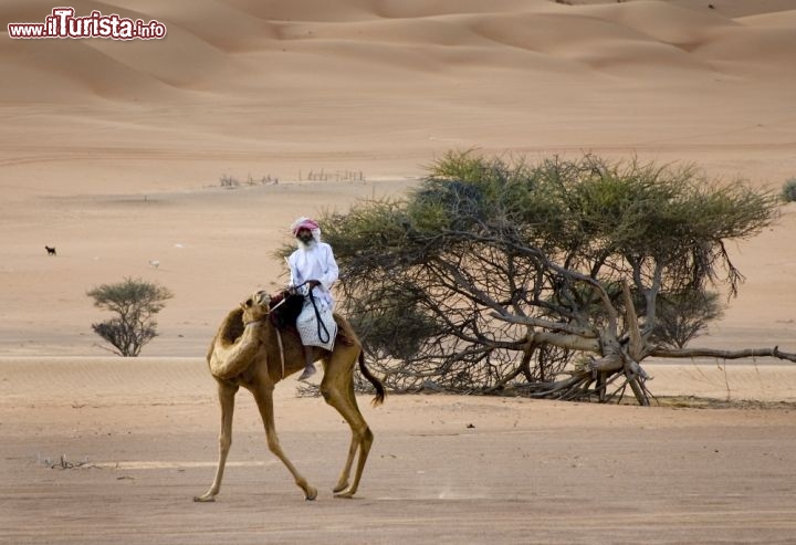 Immagine Oman: la natura selvaggia del deserto - Copyright Ufficio del Turismo del Sultanato dell'Oman