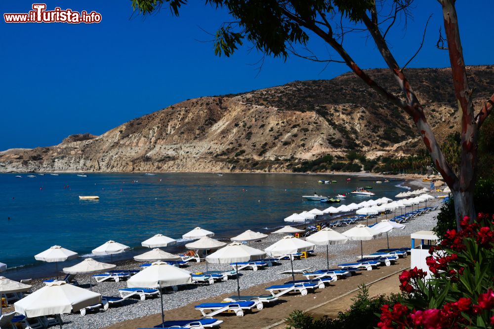 Immagine Ombrelloni e sdraio su una spiaggia della baia di Pissouri, Cipro, in una soleggiata mattina estiva.