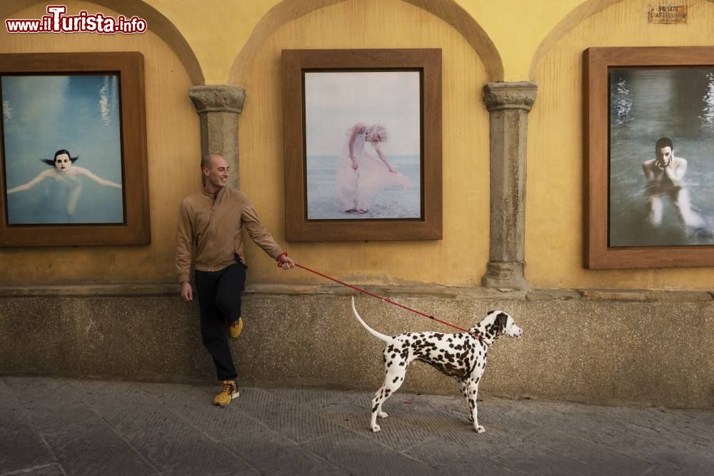 Immagine Opere d'arte in mostra nelle vie del centro di Bibbiena