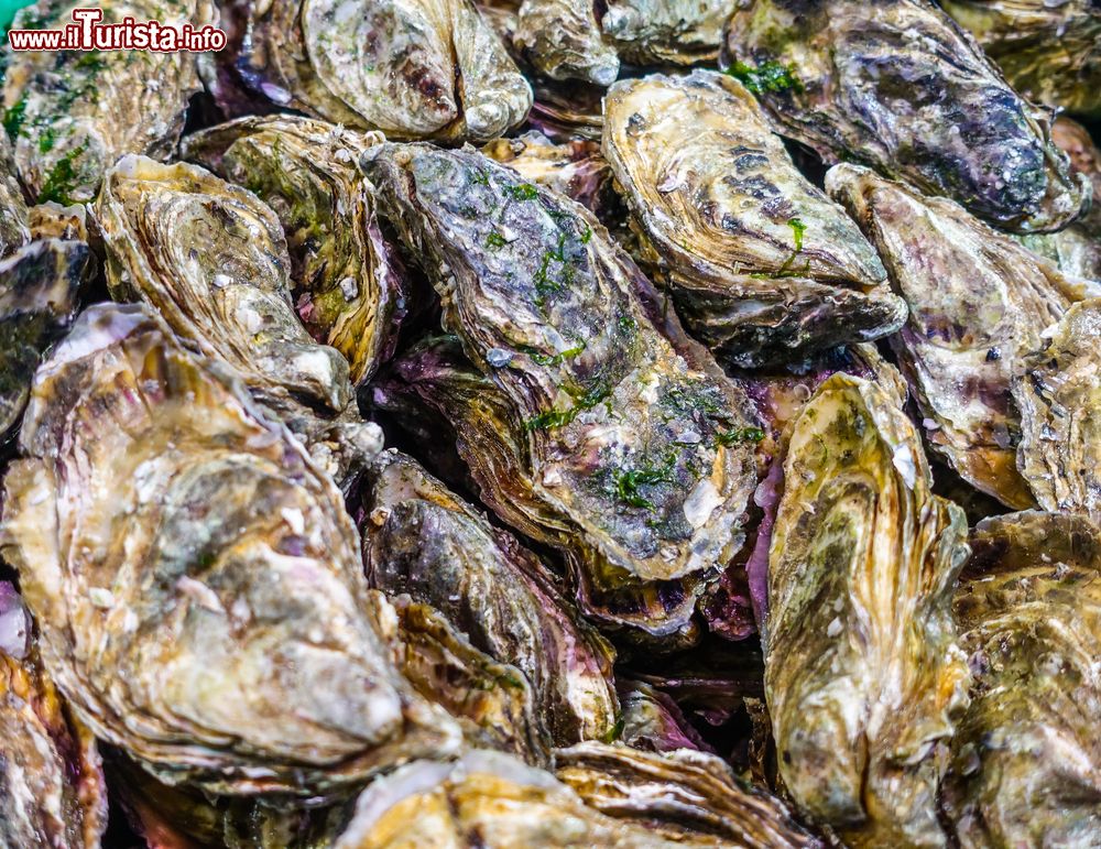 Immagine Ostriche di roccia in un mercato di Bayonne, Francia.