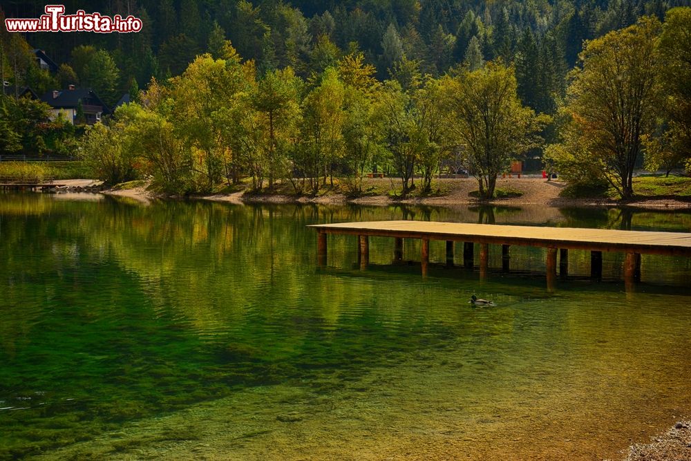 Immagine Paesaggio a Kranjska Gora, Slovenia. Questa bella cittadina, conosciuta come località sciistica e di villeggiatura, si trova fra le Alpi Giulie e la catena montuosa Caravanche.