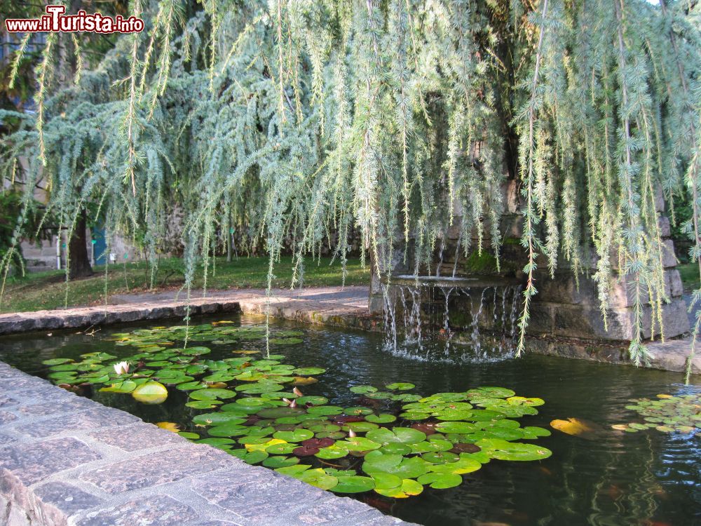 Immagine Paesaggio agreste con fontana e gigli nella città di Limoges, Francia.