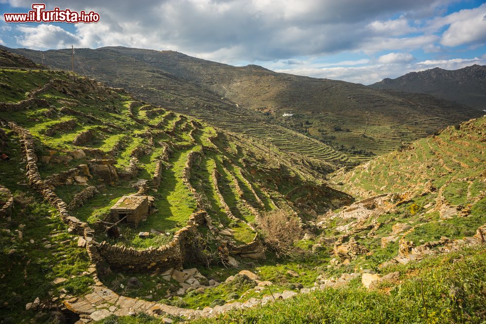 Immagine Paesaggio agreste sull'isola di Tino, Grecia: con il loro attento lavoro, i contadini isolani hanno formato dei piccoli prati ricavati da aree montagnose precedentemente incoltivabili.