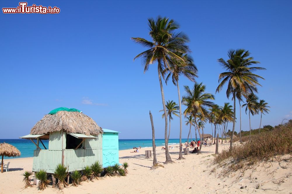 Immagine Paesaggio caraibico a Playa del Este, provincia dell'Havana, Cuba. Una bella immagine di palme e sabbia fine.