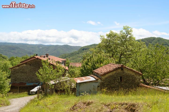 Immagine Paesaggio collinare nei dintorni di Cairo Montenotte in Liguria - © Frank Gaertner  / Shutterstock.com