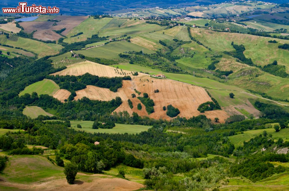 Immagine Paesaggio collinare delle Marche nella regione di Servigliano