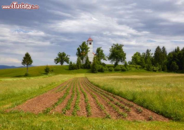 Immagine Paesaggio collinare intorno a Cerknica, Slovenia - Comune con un paesaggio da fiaba, formato da tanti piccoli villaggi spersi sul territorio, a Cerknica la natura è protagonista assoluta con le sue architetture che la rendono uno dei paesi più affascinanti della Slovenia © FotoIvanKebe / Shutterstock.com