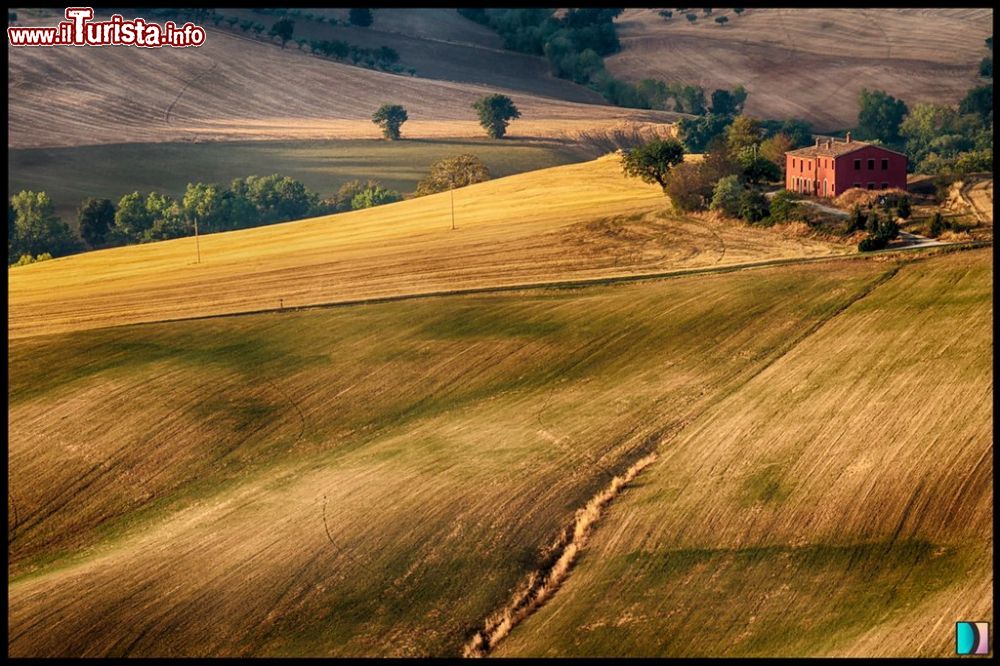 Immagine Paesaggio collinare nei dintorni di Moie nelle Marche - © Emi Delli Zuani, CC BY 3.0, Wikipedia