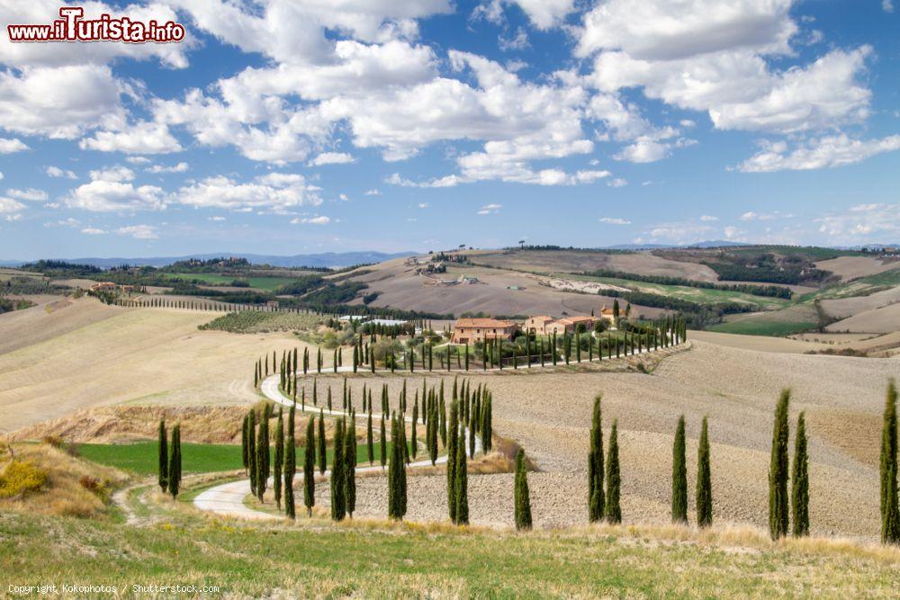 Immagine Paesaggio della Val d'Orcia, Toscana, nei pressi di Buonconvento. A poco più di 15 km dal borgo si trova questa splendida vallata al confine con l'Umbria - © Kokophotos / Shutterstock.com