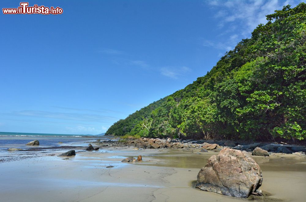 Immagine Paesaggio di Thornton Beach a Cape Tribulation, Daintree, Australia. Un tratto di natura incontaminata con la foresta pluviale che si tuffa nelle acque turchesi dell'oceano.