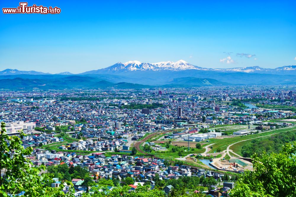 Immagine Paesaggio estivo di Asahikawa con la catena montuosa Daisetsuzan sullo sfondo, isola di Hokkaido, Giappone.