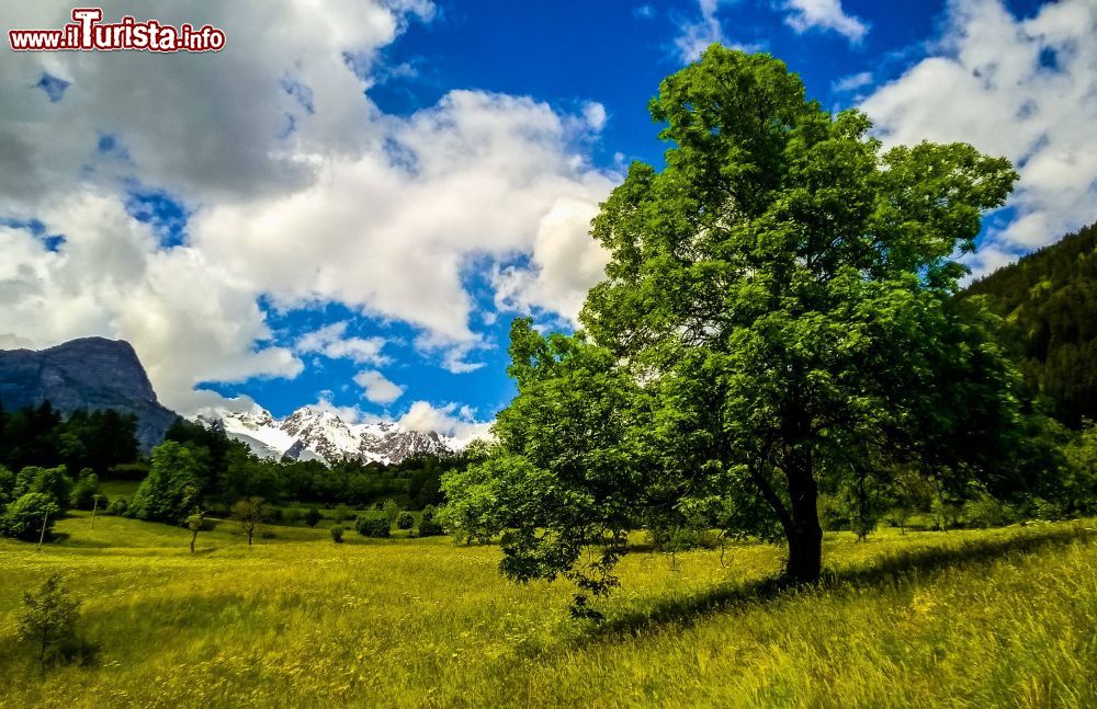 Immagine Paesaggio estivo di Pré-Saint-Didier, Valle d'Aosta. A pochi passi dal centro del paese si possono ammirare spettacoli naturali molto suggestivi.