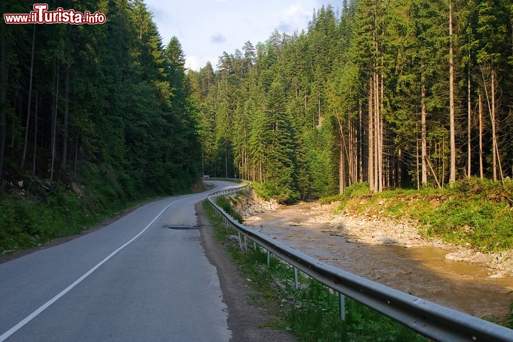 Immagine Paesaggio estivo lungo la strada per Bukovel, Carpazi orientali, Ucraina.