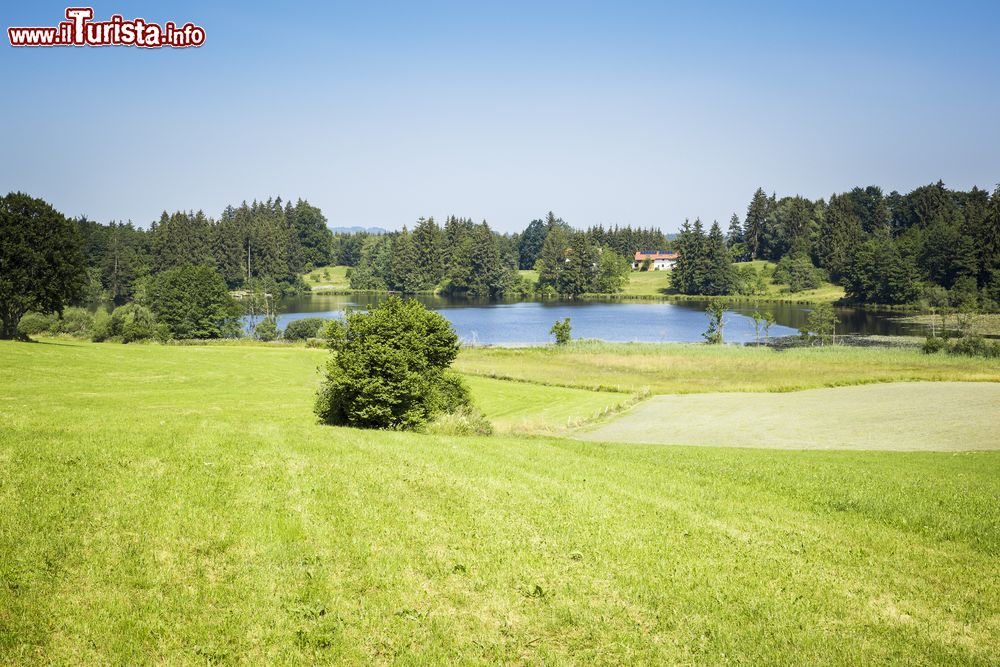 Immagine Paesaggio estivo nei dintorni di Murnau in Baviera (Germania)