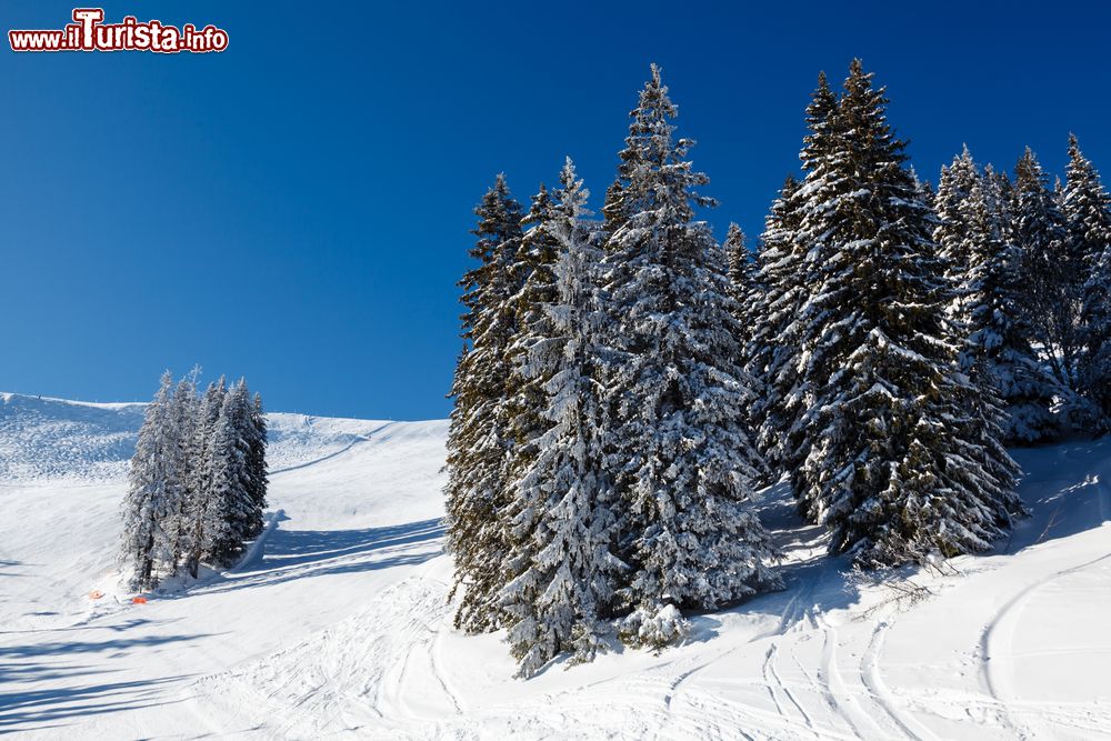 Immagine Paesaggio innevato con piste da sci a Megève, Alpi francesi. Situato nel dipartimento dell'Alta Savoia, questo Comune si trova nel cantone di Sallanches.