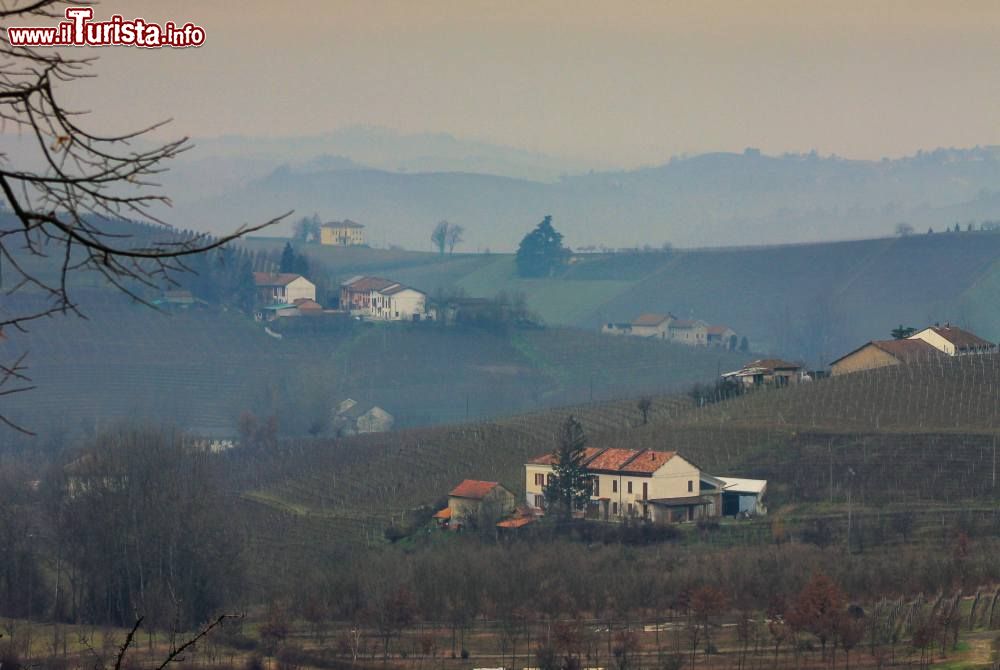 Immagine Paesaggio invernale delle colline di Nizza Monferrato in Piemonte