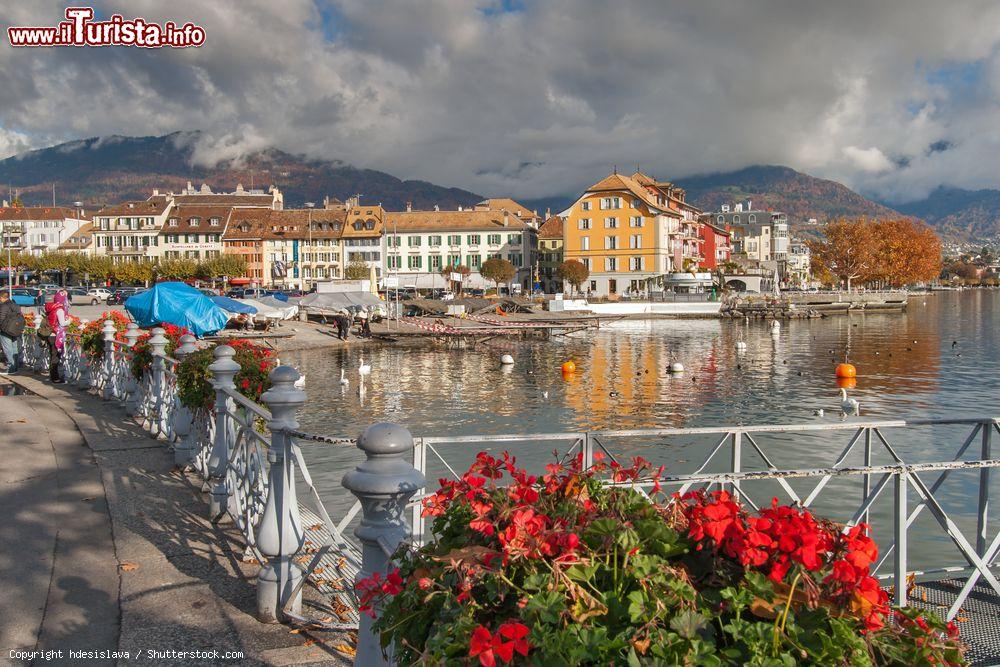 Immagine Paesaggio lungo l'argine di Vevey, cantone Vaud, Svizzera. Per ammirare gli angoli più suggestivi del paese si può passeggiare lungolago fra palme e fiori - © hdesislava / Shutterstock.com