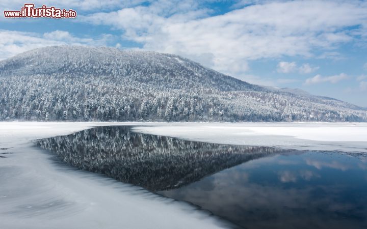 Immagine Paesaggio invernale di Cerknica, Slovenia - Suggestivo in primavera e in autunno quando lo si può attraversare in barca oppure in estate quando si può passeggiare su quello che è il fondale, nel periodo invernale il lago di Circonio ha altrettanto fascino grazie alla neve che lo ricopre. E nei periodi più freddi è anche possibile pattinare sulla sua superficie ghiacciata © FotoIvanKebe / Shutterstock.com