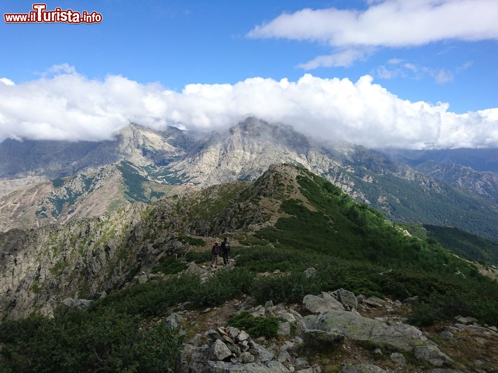 Immagine Paesaggio montano a Vizzavona, Corsica: una delle attività all'aria aperta più praticate in questa zona è il trekking.