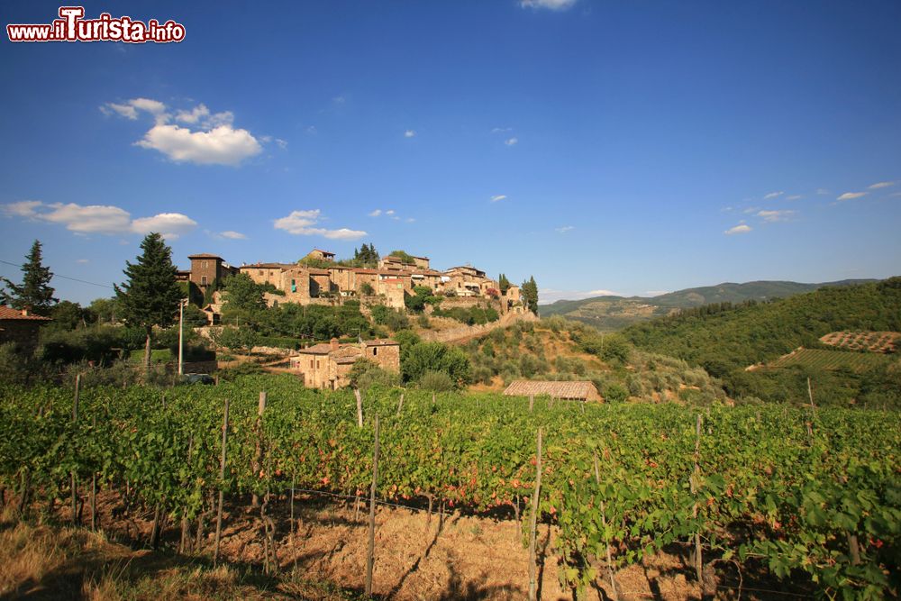 Immagine Il paesaggio naturale attorno al villaggio di Montefioralle, provincia di Firenze, Toscana.