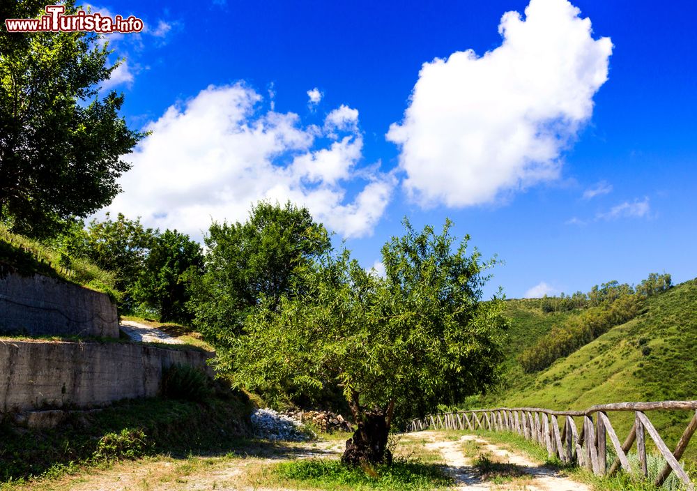 Immagine Paesaggio naturale nei dintorni di Rometta in Sicilia