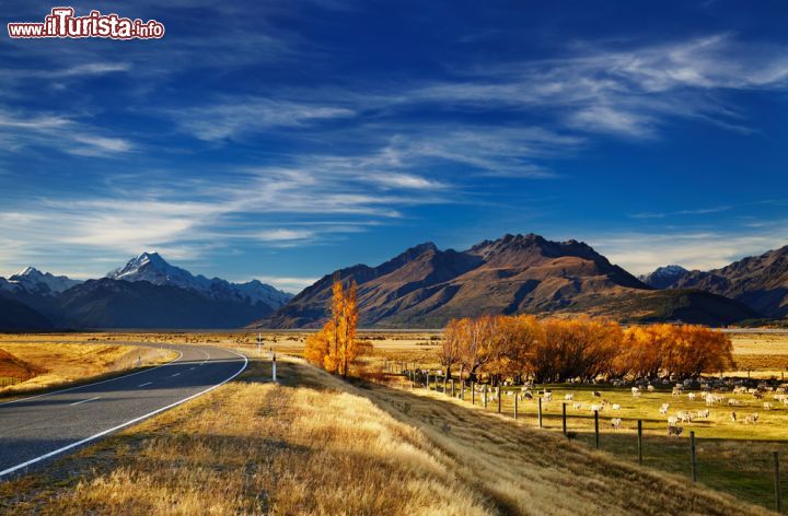 Immagine Il paesaggio autunnale del Canterbury: siamo nelle pianure a ridosso delle Alpi. dove si trovano grandi fattorie dedicate all'allevamento di ovini e bovini, nell'Isola del Sud in Nuova Zelanda - © Pichugin Dmitry / Shutterstock.com