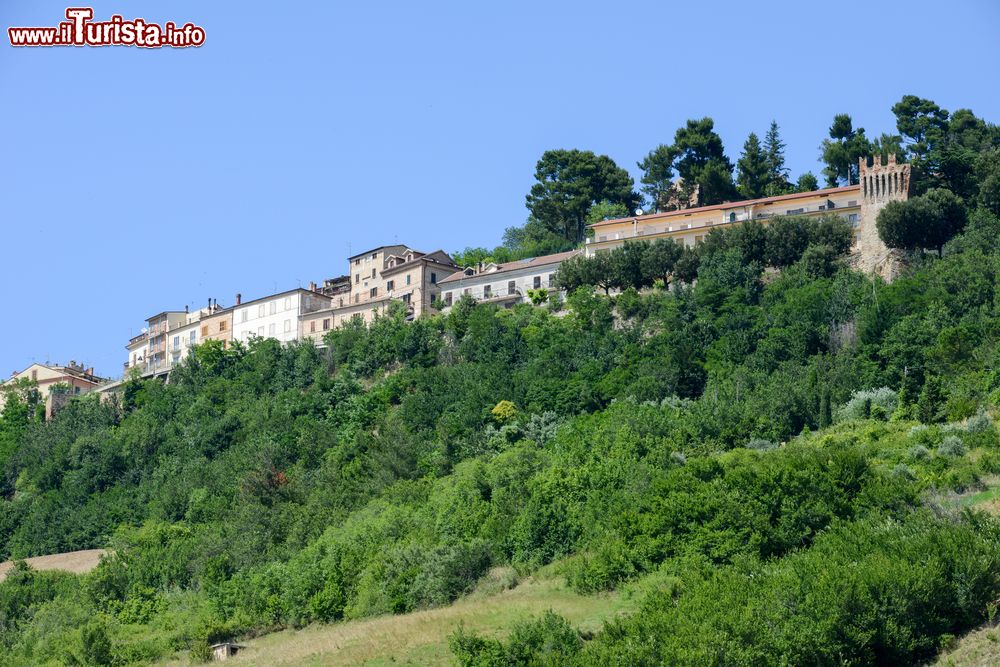 Immagine Paesaggio rurale di Ripatransone nelle Marche, Italia. Il territorio che circonda questo bel borgo marchigiano è adatto alla coltivazione mediterranea, in particolare dell'olio e della vite.