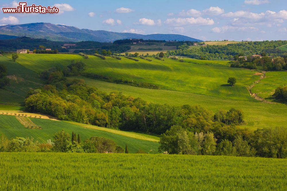 Immagine Paesaggio rurale nei pressi della cittadina di Todi, Umbria. Questa località fa parte della Comunità Montana Monte Peglia e Selva di Meana.