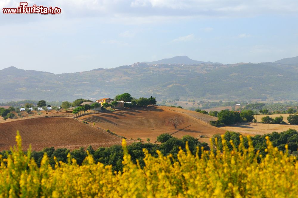 Immagine Paesaggio rurale nelle campagne di Civitella Paganico in Toscana