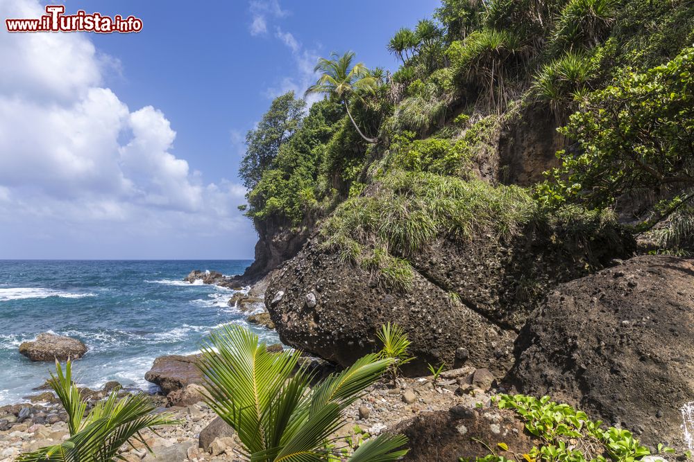 Immagine Paesaggio selvaggio in Dominica nei pressi di Petite Soufriere