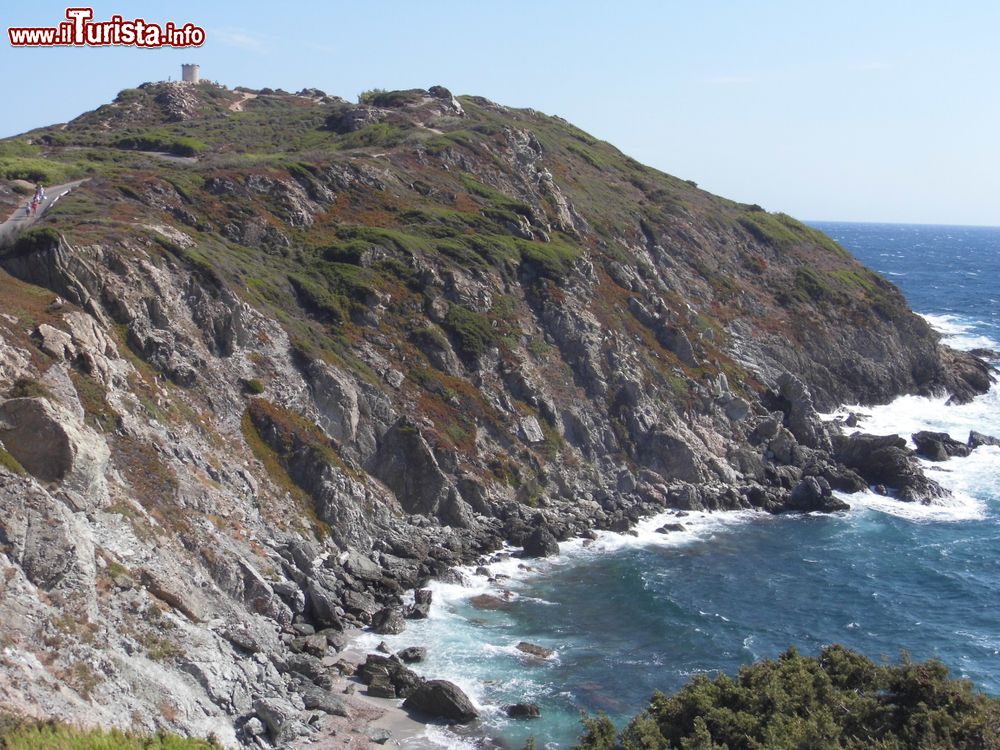 Immagine Paesaggio selvaggio sull'isola di Embiez, Francia. Questi luoghi sono stati frequentati a partire dall'XI° secolo dai monaci che ne sfruttarono le saline sino all'acquisizione dell'siola nel 1958 da parte di Paul Ricard.