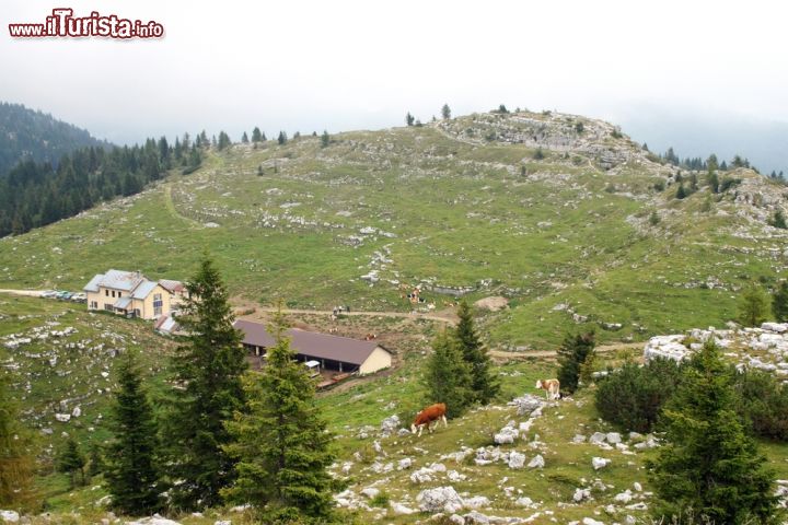 Immagine Paesaggio su Monte Zebio nelle Dolomiti, Asiago, Veneto. Siamo sull'altopiano di Asiago: qui buona parte del territorio è considerata Sacra alla Patria e si trova un museo all'aperto della Grande Guerra - © 134809688 / Shutterstock.com