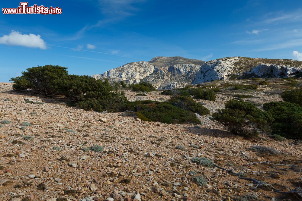 Immagine Paesaggio tipico dell'isola di Donoussa, Piccole Cicladi, Grecia. Il territorio è caratterizzato da una natura piuttosto aspra.
